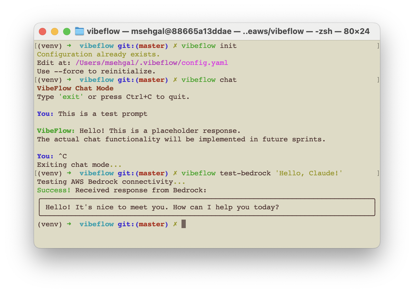 VibeFlow Evaluate CLI 001